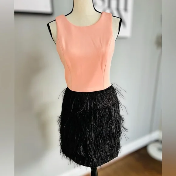 Maia Feathered Dress - Picture 1 of 10